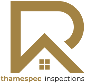 thamespec-inspections